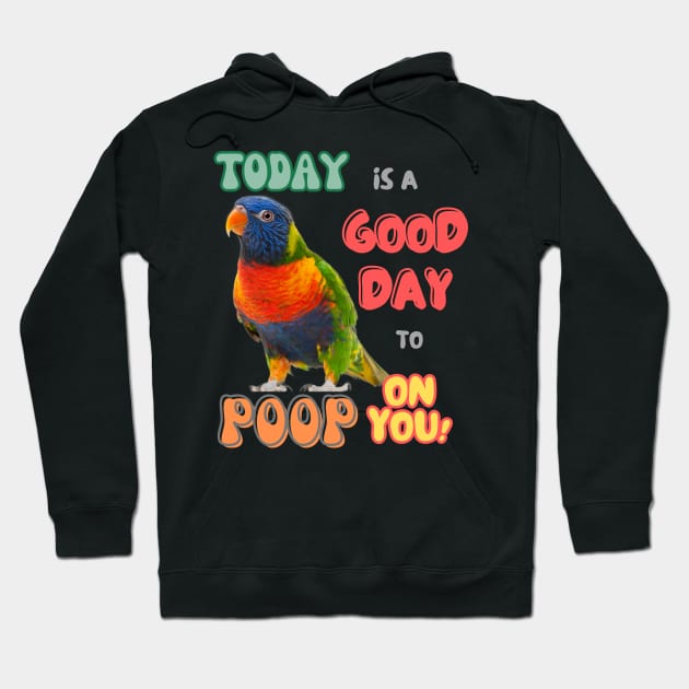 Rainbow lorikeet, Loriini bird, Parrot, Parakeet, Today is a good day to poop on you Hoodie by TatianaLG